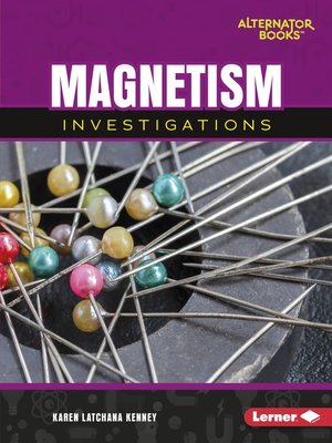 cover image of Magnetism Investigations